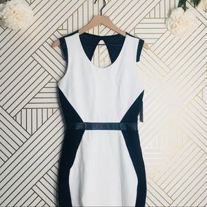 La Pina | NWT Color Block Dress w/ Leather Detail